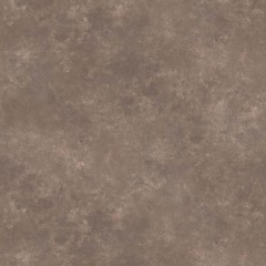 TN-5312